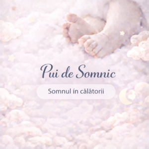 Ebook - Somnul puiutilor in calatorii